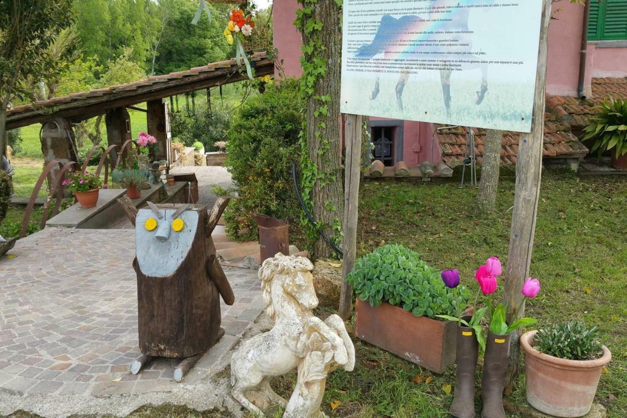 Piccolo Casale A "Le Moline" In Una Vera Fattoria Vetralla Exterior foto